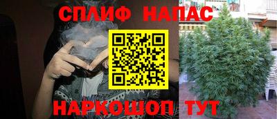 альфа пвп Брянск
