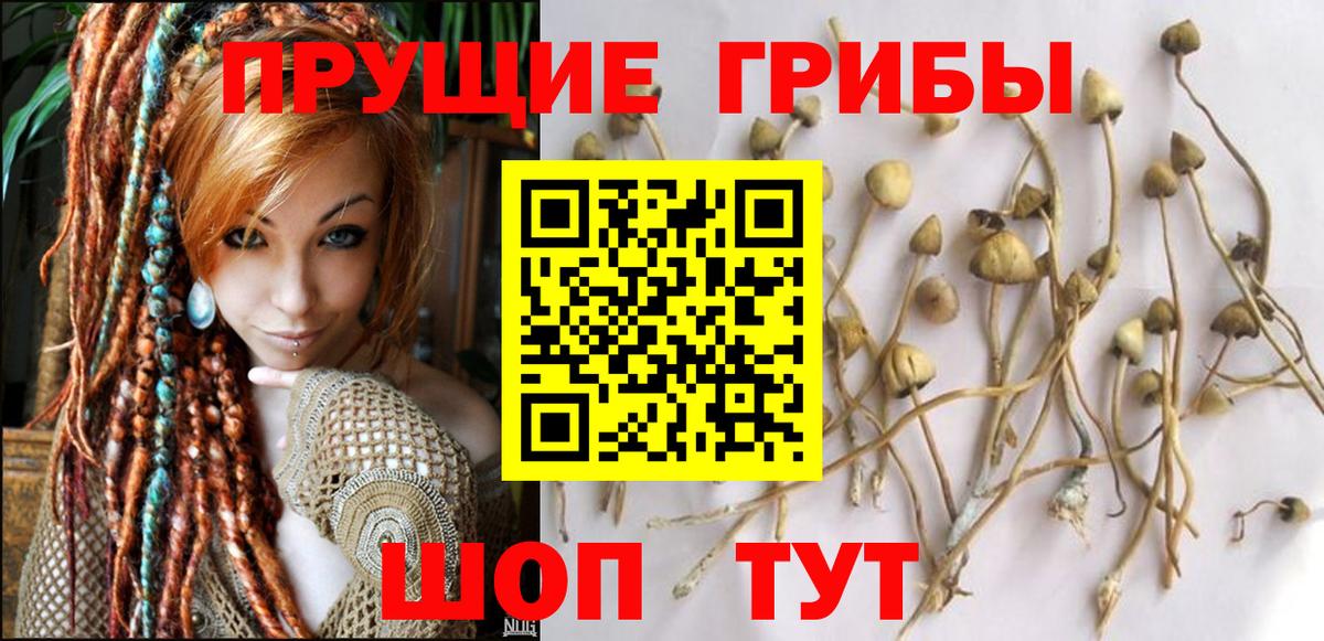 Воронеж  Псилоцибиновые грибы Magic Shrooms  Вход с VPN 